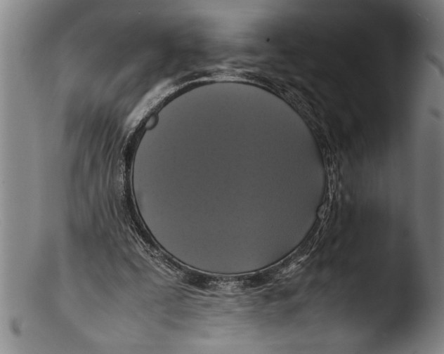 X0000103310295200809261343