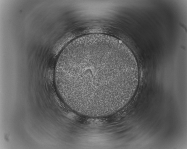 X0000103310297200809261343