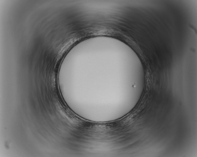 X0000103310298200809261343