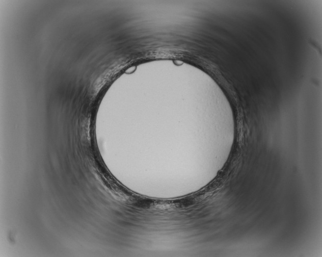 X0000103310299200809261343