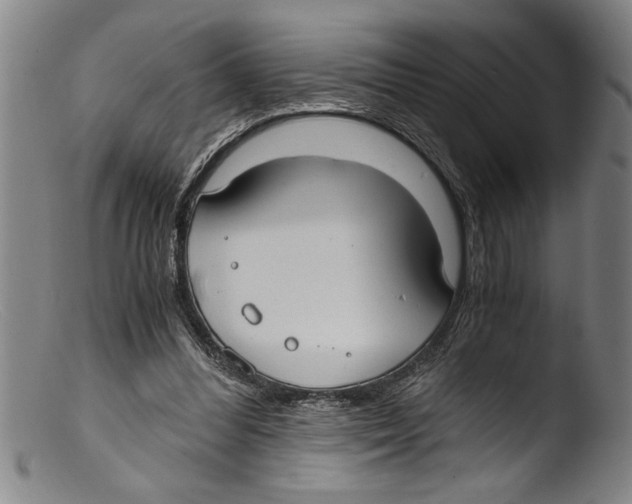 X0000103310300200809261343