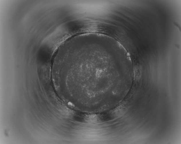 X0000103310301200809261343