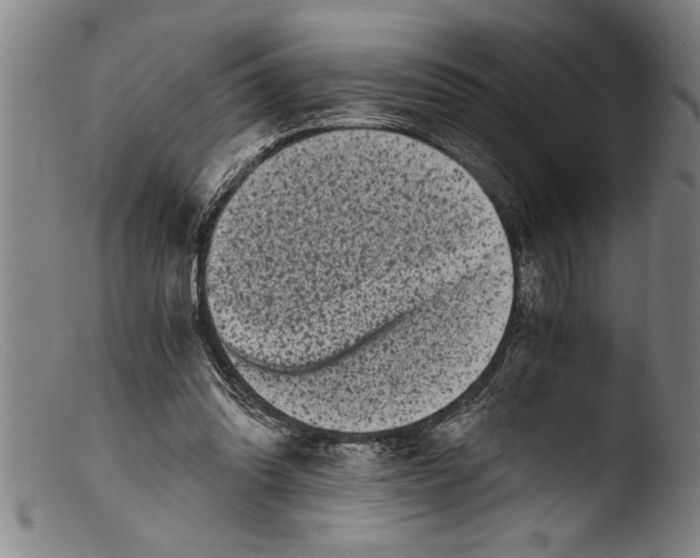 X0000103310302200809261343