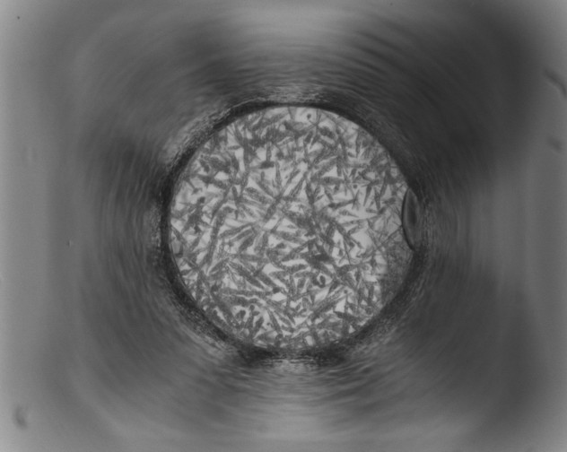 X0000103310303200809261343