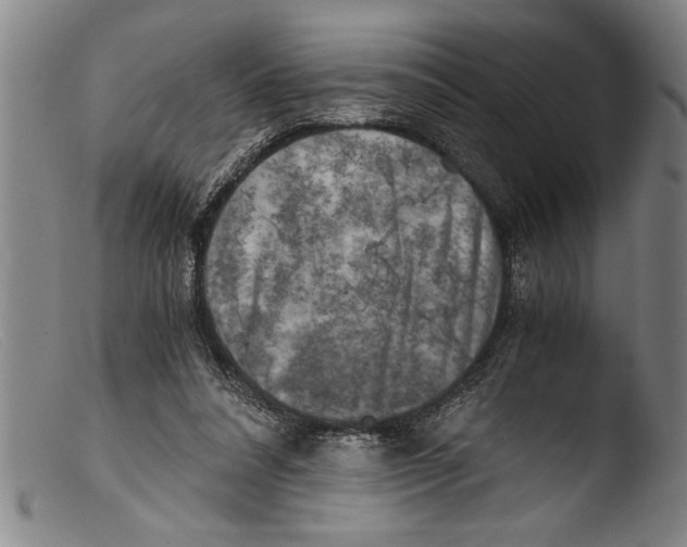 X0000103310304200809261343