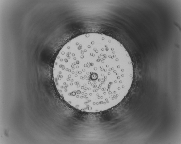 X0000103310305200809261343