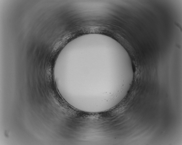 X0000103310306200809261343