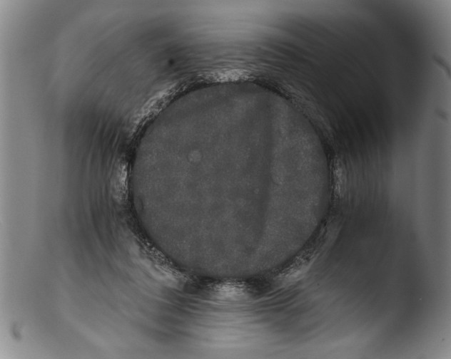 X0000103310308200809261343