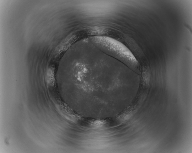 X0000103310312200809261343