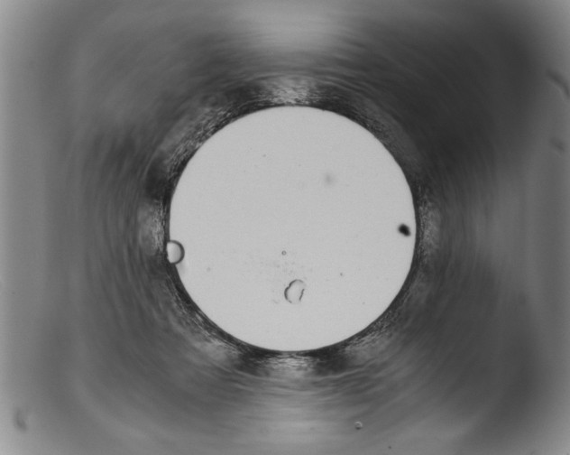 X0000103310313200809261343