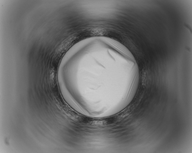 X0000103310314200809261343