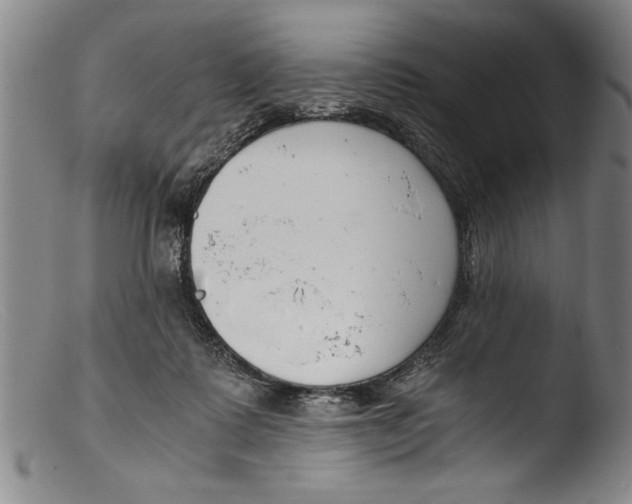 X0000103310315200809261343