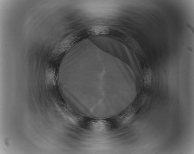 X0000103310316200809261343