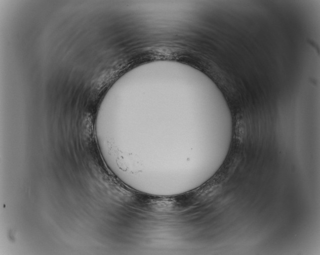 X0000103310318200809261343