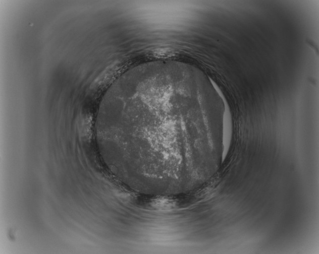 X0000103310319200809261343