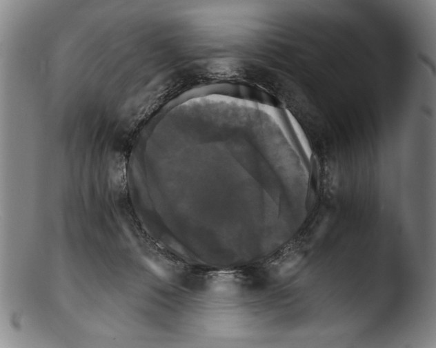 X0000103310320200809261343