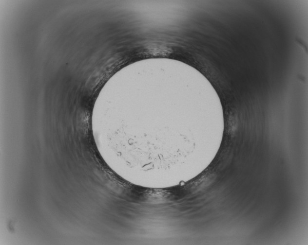 X0000103310321200809261343