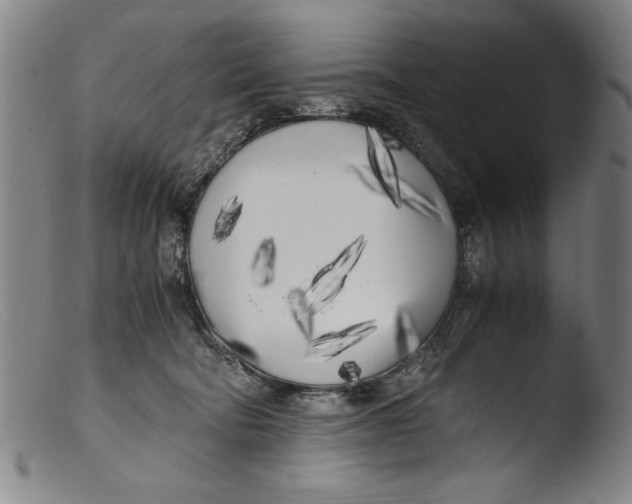 X0000103310322200809261343