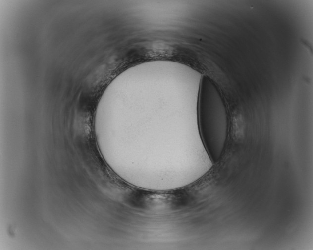 X0000103310323200809261343