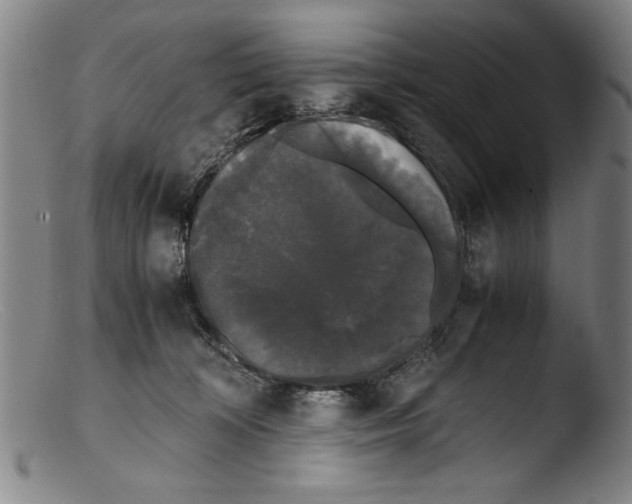 X0000103310324200809261343