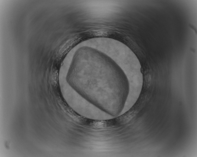 X0000103310325200809261343