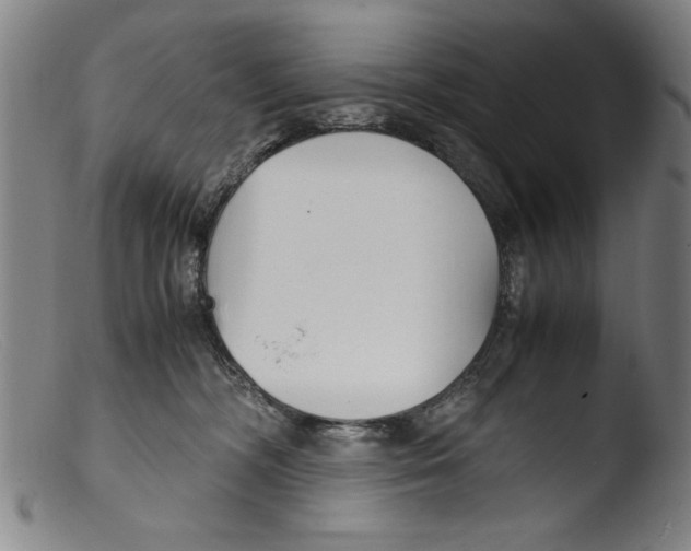 X0000103310326200809261343