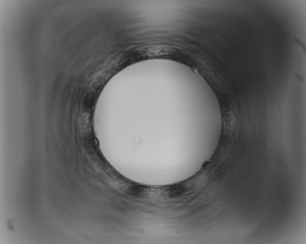 X0000103310327200809261342