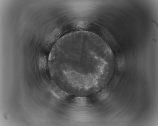 X0000103310328200809261342