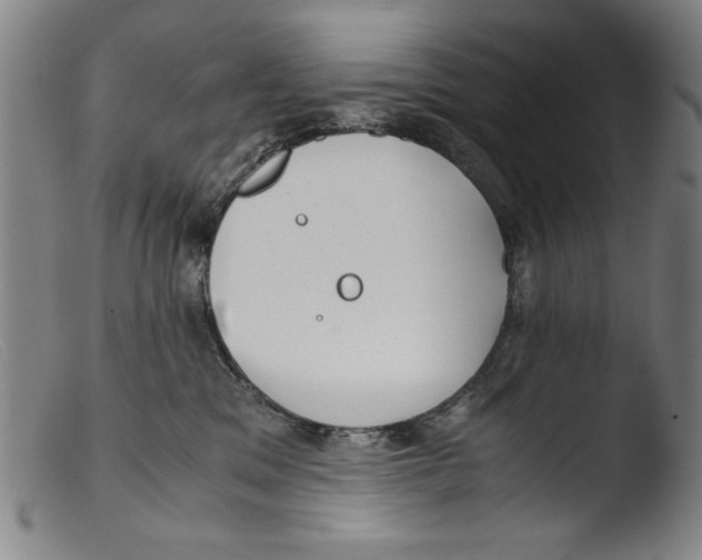 X0000103310329200809261342