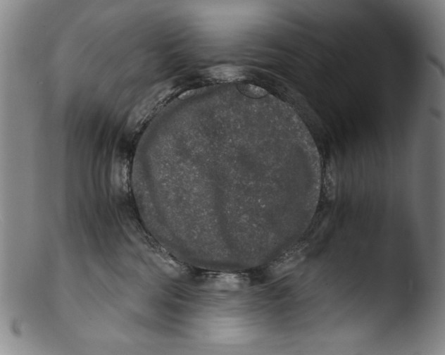 X0000103310330200809261342