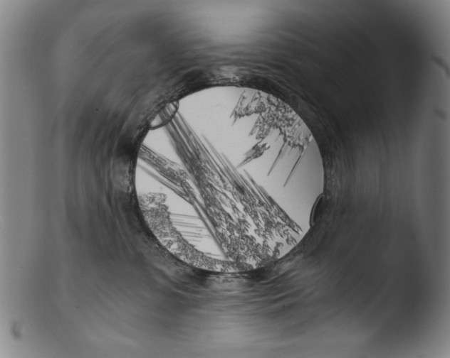 X0000103310331200809261342