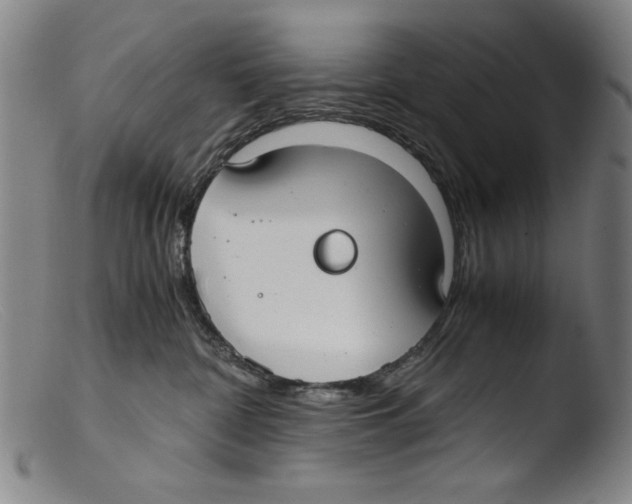 X0000103310332200809261342