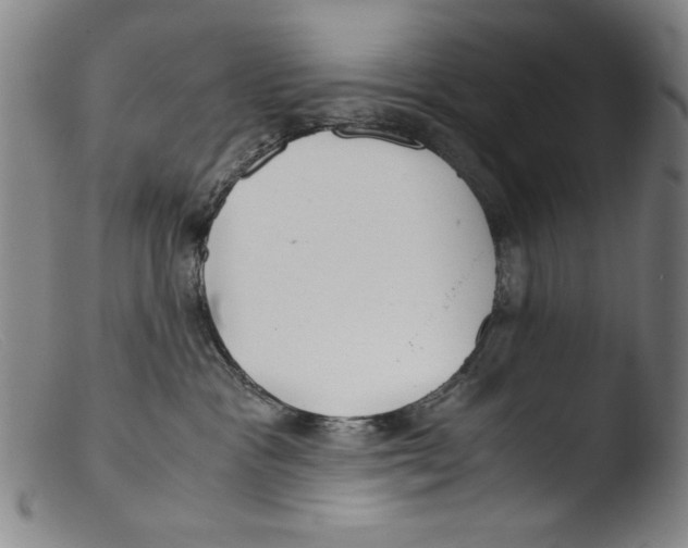 X0000103310333200809261342