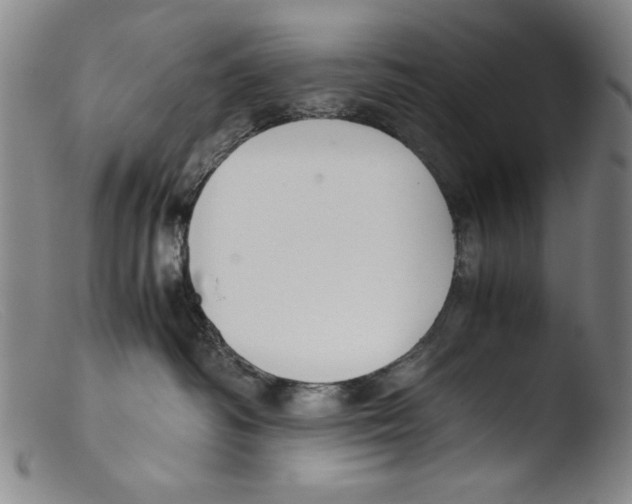 X0000103310334200809261342