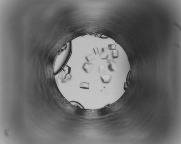 X0000103310335200809261342