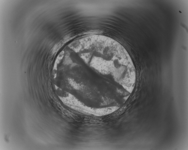 X0000103310337200809261342