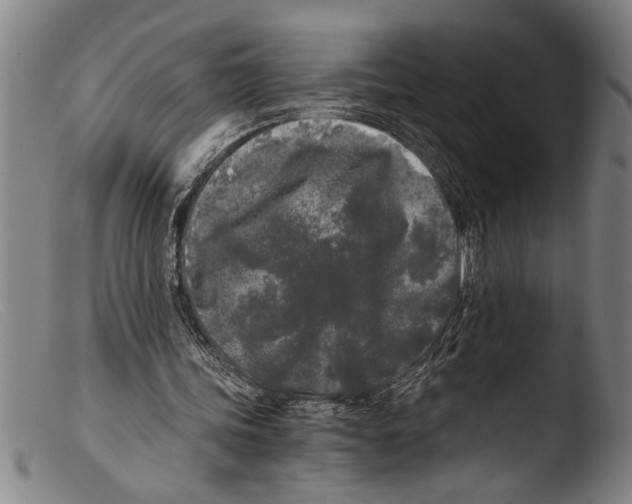 X0000103310339200809261342