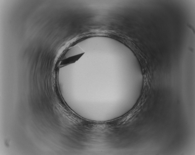 X0000103310342200809261342