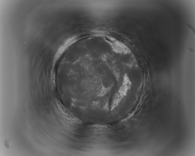 X0000103310343200809261342