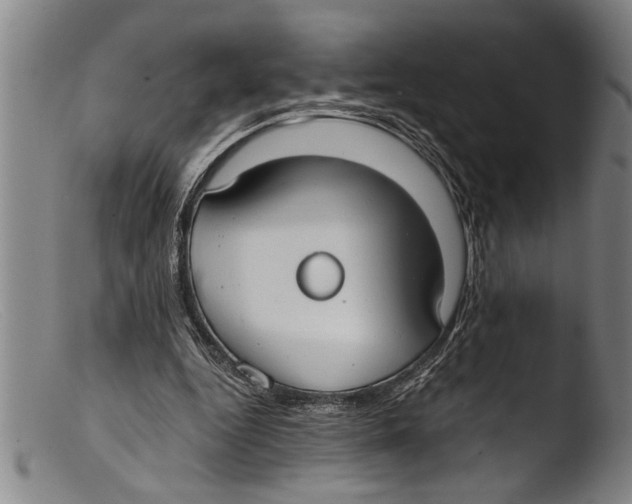 X0000103310344200809261342