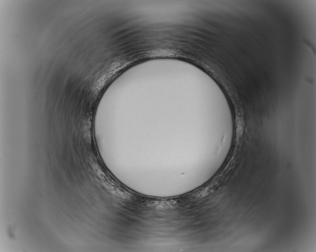 X0000103310345200809261342