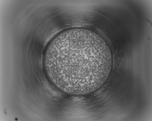 X0000103310346200809261342