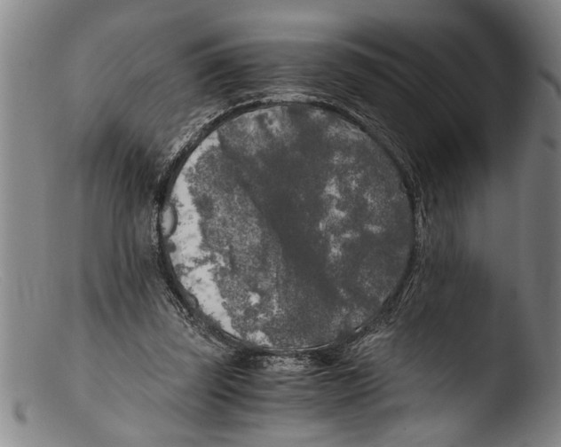 X0000103310347200809261342