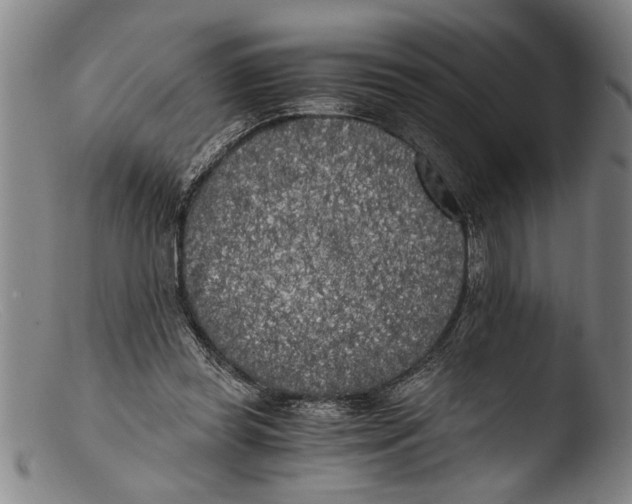 X0000103310349200809261342