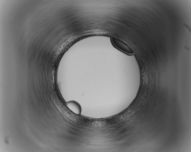 X0000103310350200809261342