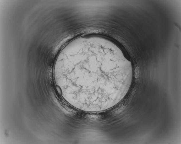 X0000103310352200809261342