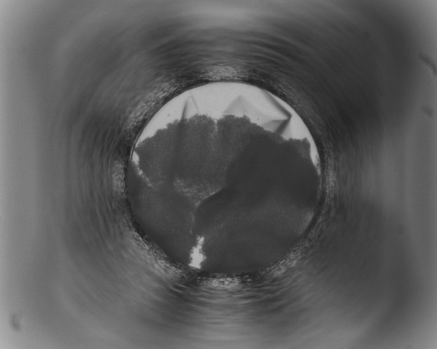 X0000103310353200809261342