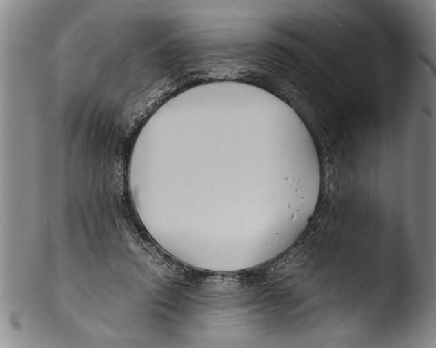 X0000103310354200809261342