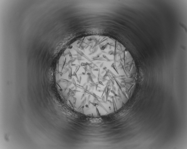 X0000103310355200809261342