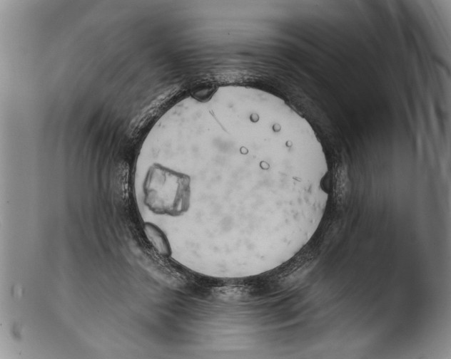 X0000103310356200809261342